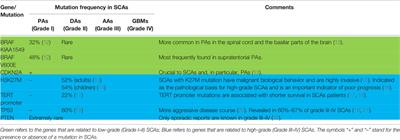 Immunotherapy: A Potential Approach for High-Grade Spinal Cord Astrocytomas